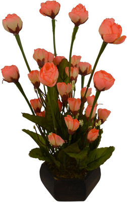 Fancymart FP-0773-598 Multicolor Rose Artificial Flower with Pot(5 inch, Pack of 2)
Fancymart FP-0773-598 Multicolor Rose Artificial Flower with Pot(5 inch, Pack of 2)