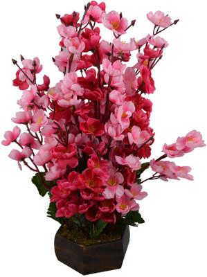 Fancymart FP-0841-663 Multicolor Wild Flower Artificial Flower with Pot(7 inch, Pack of 1)
Fancymart FP-0841-663 Multicolor Wild Flower Artificial Flower with Pot(7 inch, Pack of 1)