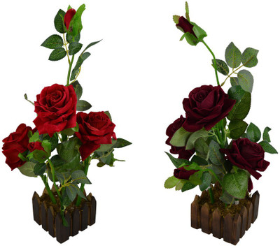 Fancymart FP-0831-655 Multicolor Rose Artificial Flower with Pot(8 inch, Pack of 2)
Fancymart FP-0831-655 Multicolor Rose Artificial Flower with Pot(8 inch, Pack of 2)