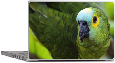 PRINTCLUB Parrot Laptop Sticker 15.6 inch-Laptop Skin-2018-86 Vinyl Laptop Decal 15.6
PRINTCLUB Parrot Laptop Sticker 15.6 inch-Laptop Skin-2018-86 Vinyl Laptop Decal 15.6
