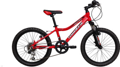 Montra DTR 20 20 T Recreation Cycle(6 Gear, Red), Grey white;red glossy