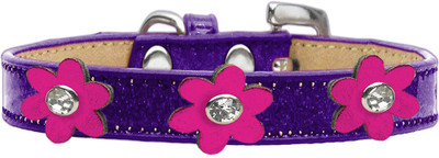 Mirage Pet Products Dog Everyday Collar(, Purple
