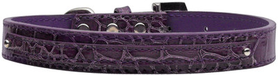 Mirage Pet Products Dog Everyday Collar(, Purple