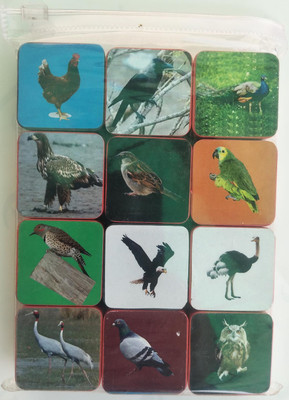 MY MEOW Educational alphabet BIRD Learning Blocks For Kids With colorful Pictures, Zipper Bag Packing, Best Gift Toy.(Multicolor)
MY MEOW Educational alphabet BIRD Learning Blocks For Kids With colorful Pictures, Zipper Bag Packing, Best Gift Toy.(Multicolor)