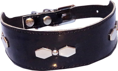 Petshop7 0.5inch High Quality & Stylish Studs Dog Collar for Puppies- Xtra Small (Neck Size - 12-14inch) Dog Everyday Collar(, Black
Petshop7 0.5inch High Quality & Stylish Studs Dog Collar for Puppies- Xtra Small (Neck Size - 12-14inch) Dog Everyday Collar(, Black
