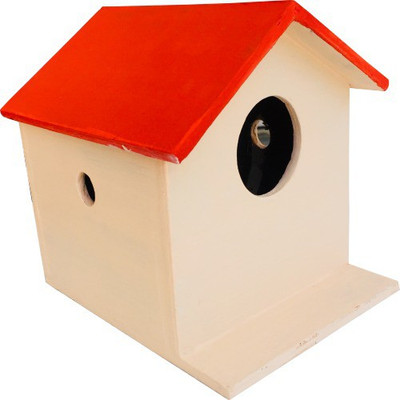 Nature's Wonder Red Bird House / Nest Box for Sparrows, Munias, Budgies, Finches & Small Birds Bird House(Wall Mounting)
Nature's Wonder Red Bird House / Nest Box for Sparrows, Munias, Budgies, Finches & Small Birds Bird House(Wall Mounting)