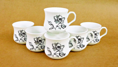 Reddish Bone China(White, Pack of 6)