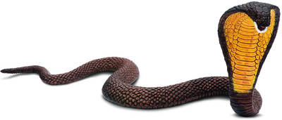Safari Ltd Wildlife Cobra(Multicolor)