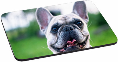 PRINTHUBS Painting Designer | Printed Mouse Pad | High Quality Waterproof Coating Gaming Mouse Pad (Multicolor) -373 Mousepad(Multicolor)
PRINTHUBS Painting Designer | Printed Mouse Pad | High Quality Waterproof Coating Gaming Mouse Pad (Multicolor) -373 Mousepad(Multicolor)