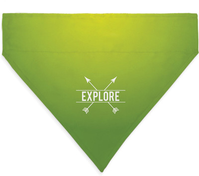 right Dog Everyday Collar(, green