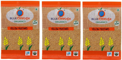 Blueorange YELLOW MUSTARD WHOLE PACK OF 3(3 x 100 g)