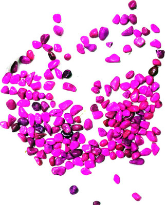 Blue Sky Pebbles Gravel Unplanted Substrate(Pink)
Blue Sky Pebbles Gravel Unplanted Substrate(Pink)