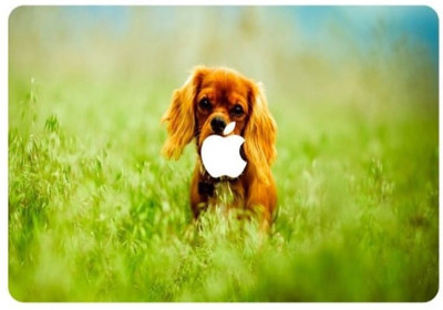 FIVE ON FIVE macpro154fof0030 VINYL Laptop Decal 15.4