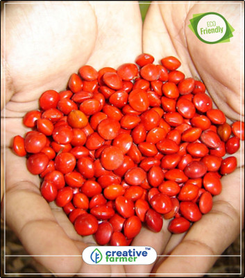 Creative Farmer Tree Seeds Red Sandalwood - Adenanthera Gersenii 50 Seeds Seeds For Cultivation Kitchen Garden Plant Seeds 10Indoor, Outdoor Kitchen Garden Plant Seeds Seed(10 per packet)
Creative Farmer Tree Seeds Red Sandalwood - Adenanthera Gersenii 50 Seeds Seeds For Cultivation Kitchen Garden Plant Seeds 10Indoor, Outdoor Kitchen Garden Plant Seeds Seed(10 per packet)