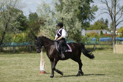 MNTC Beautiful Horses Poster (Paper Print, 12x18 inch) Paper Print(12 inch X 18 inch, Rolled)
MNTC Beautiful Horses Poster (Paper Print, 12x18 inch) Paper Print(12 inch X 18 inch, Rolled)