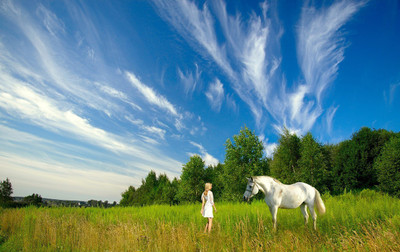 MNTC Beautiful Horses Poster (Paper Print, 12x18 inch) Paper Print(12 inch X 18 inch, Rolled)
MNTC Beautiful Horses Poster (Paper Print, 12x18 inch) Paper Print(12 inch X 18 inch, Rolled)