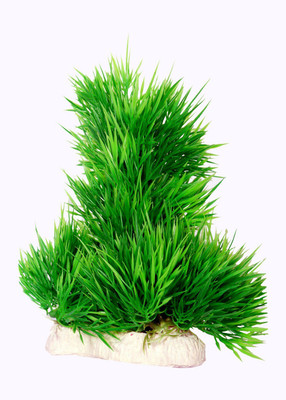 Liger India Aquarium/ Fish Tank Decorative Artificial Plant Laterite Planted Substrate(Green)
Liger India Aquarium/ Fish Tank Decorative Artificial Plant Laterite Planted Substrate(Green)