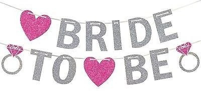 Theme My Party Bride To Be Banner High Quality Glitter Paper Silver Rose Banner(10 ft, Pack of 1)
Theme My Party Bride To Be Banner High Quality Glitter Paper Silver Rose Banner(10 ft, Pack of 1)