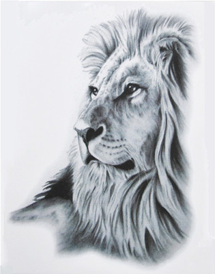 Savii Beautiful Black Big Lion Face Popular New Design(Beautiful Black Big Lion Face Popular New Design)
