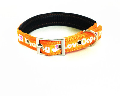 Petlicious & More Dog Everyday Collar(, Orange