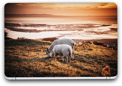 Flipkart SmartBuy Animal Themed 121 Vinyl Laptop Skin (3M/Avery Vinyl, Matte Laminated, 13 x 8.5 inches) Vinyl Laptop Decal 13.3
Flipkart SmartBuy Animal Themed 121 Vinyl Laptop Skin (3M/Avery Vinyl, Matte Laminated, 13 x 8.5 inches) Vinyl Laptop Decal 13.3