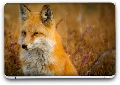 Flipkart SmartBuy Animal Themed 157 Vinyl Laptop Skin (3M/Avery Vinyl, Matte Laminated, 14 x 9 inches) Vinyl Laptop Decal 14.1
Flipkart SmartBuy Animal Themed 157 Vinyl Laptop Skin (3M/Avery Vinyl, Matte Laminated, 14 x 9 inches) Vinyl Laptop Decal 14.1