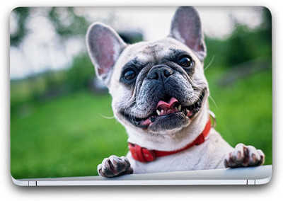 Flipkart SmartBuy Animal Themed 201 Vinyl Laptop Skin (3M/Avery Vinyl, Matte Laminated, 14 x 9 inches) Vinyl Laptop Decal 14.1
Flipkart SmartBuy Animal Themed 201 Vinyl Laptop Skin (3M/Avery Vinyl, Matte Laminated, 14 x 9 inches) Vinyl Laptop Decal 14.1