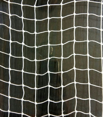 Armor Anti-Bird Net 10ftx8ft (80 Sq Ft) High Quality UV-Stabilized HDPE Nylon Bird Net (White) With Free 30 Pcs Plastic Cable Clips & Tying Ropes Camping Net(White)
Armor Anti-Bird Net 10ftx8ft (80 Sq Ft) High Quality UV-Stabilized HDPE Nylon Bird Net (White) With Free 30 Pcs Plastic Cable Clips & Tying Ropes Camping Net(White)