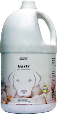 medivet Medivet's Garly Shampoo Anti-microbial, Anti-fungal, Anti-parasitic, Anti-dandruff, Flea and Tick Lite Garlic Dog Shampoo(6 L)
medivet Medivet's Garly Shampoo Anti-microbial, Anti-fungal, Anti-parasitic, Anti-dandruff, Flea and Tick Lite Garlic Dog Shampoo(6 L)