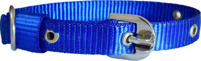 Paw Zone Dog Anti-stress Collar(, Blue