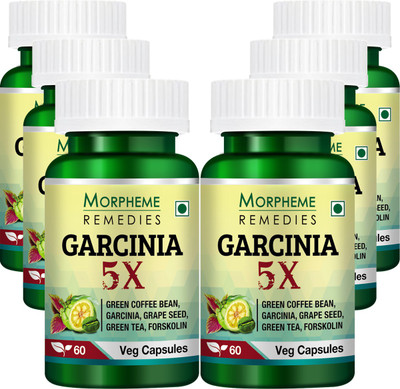 Morpheme Remedies Garcinia 5X 500mg Extract (Pack of 6)(360 No)