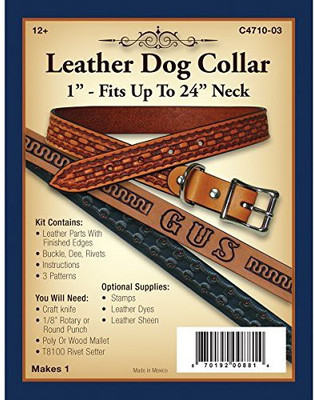 Generic Dog Everyday Collar(, Brown