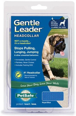 PetSafe Dog Everyday Collar(, Multicolor