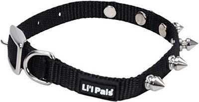 Coastal Pet Dog Everyday Collar(, Multicolor