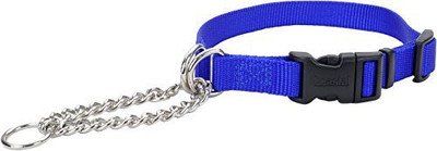 Coastal Pet Dog Everyday Collar(, Multicolor