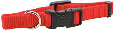 Coastal Pet Dog Everyday Collar(, Red