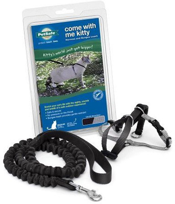 PetSafe Cat Harness & Leash(, Multicolor
