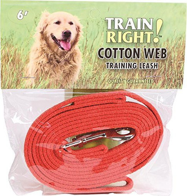 Coastal Pet Dog Collar & Leash(, Multicolor
