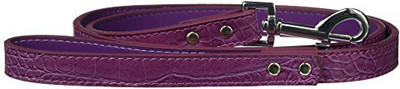 Mirage Pet Products Dog Everyday Collar(, Purple