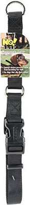 Coastal Pet Dog Martingale Collar(, Multicolor