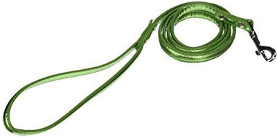 Mirage Pet Products Dog Everyday Collar(, Green