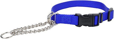 Coastal Pet Dog Everyday Collar(, Multicolor