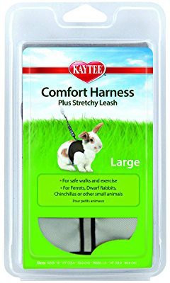 Generic Rabbit Harness & Leash(, Multicolor