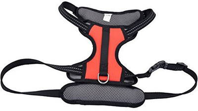 COASTAL PET PRODUCTS Dog Training Harness(, Red
COASTAL PET PRODUCTS Dog Training Harness(, Red