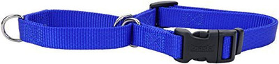 Coastal Pet Dog Martingale Collar(, Multicolor