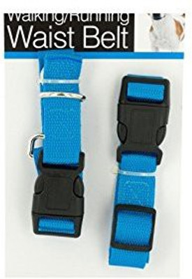 Generic Dog Collar & Leash(, Multicolor