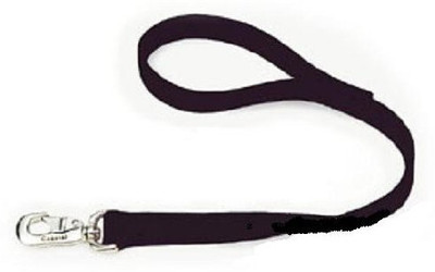 Coastal Pet Dog Collar & Leash(, Multicolor