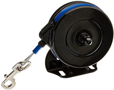 Generic Dog Collar & Leash(, Multicolor
Generic Dog Collar & Leash(, Multicolor