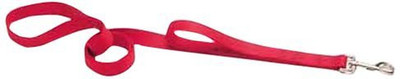 Generic Dog Collar & Leash(, Multicolor
