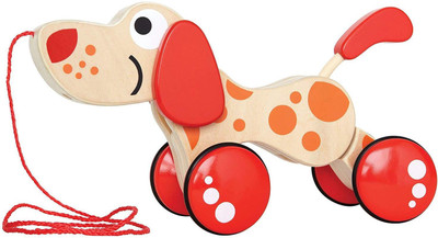 Hape Walk - A - Long Puppy(Multicolor)